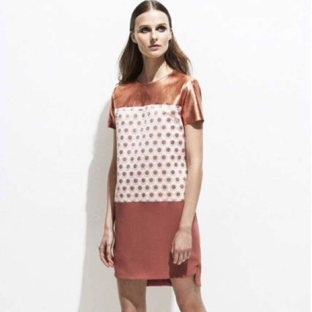 BRAND NEW Rose Gold Leather RAOUL Dress size 2